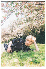 msb patch flower embroidery pattern short sleeve sweat