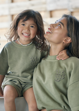 msb pigment pale color set up