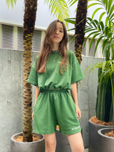 MSB經典色素設置