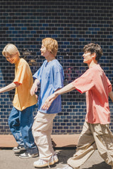 MSB刺繡色素染料T