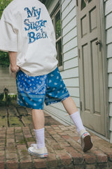 MSB Paisley Patchwork Shorts