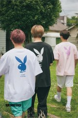 MSB x花花公子登錄