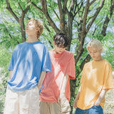 MSB刺繡色素染料T