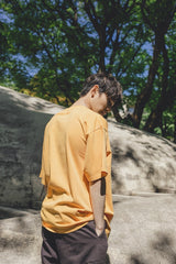 MSB刺繡色素染料T