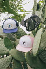 MSB×Playboy mesh cap