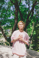 MSB刺繡色素染料T