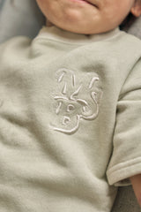 msb pigment pale color set up