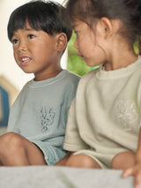 msb pigment pale color set up