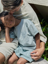 msb pigment pale color set up