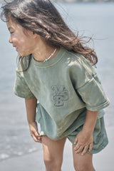 msb pigment pale color set up