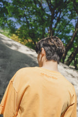 MSB刺繡色素染料T