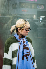 9090×younger song Muffler