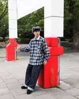 WudgeBoy check poloshirt