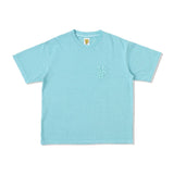 MSB刺繡色素染料T