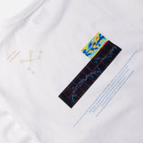 acid rain LS TEE
