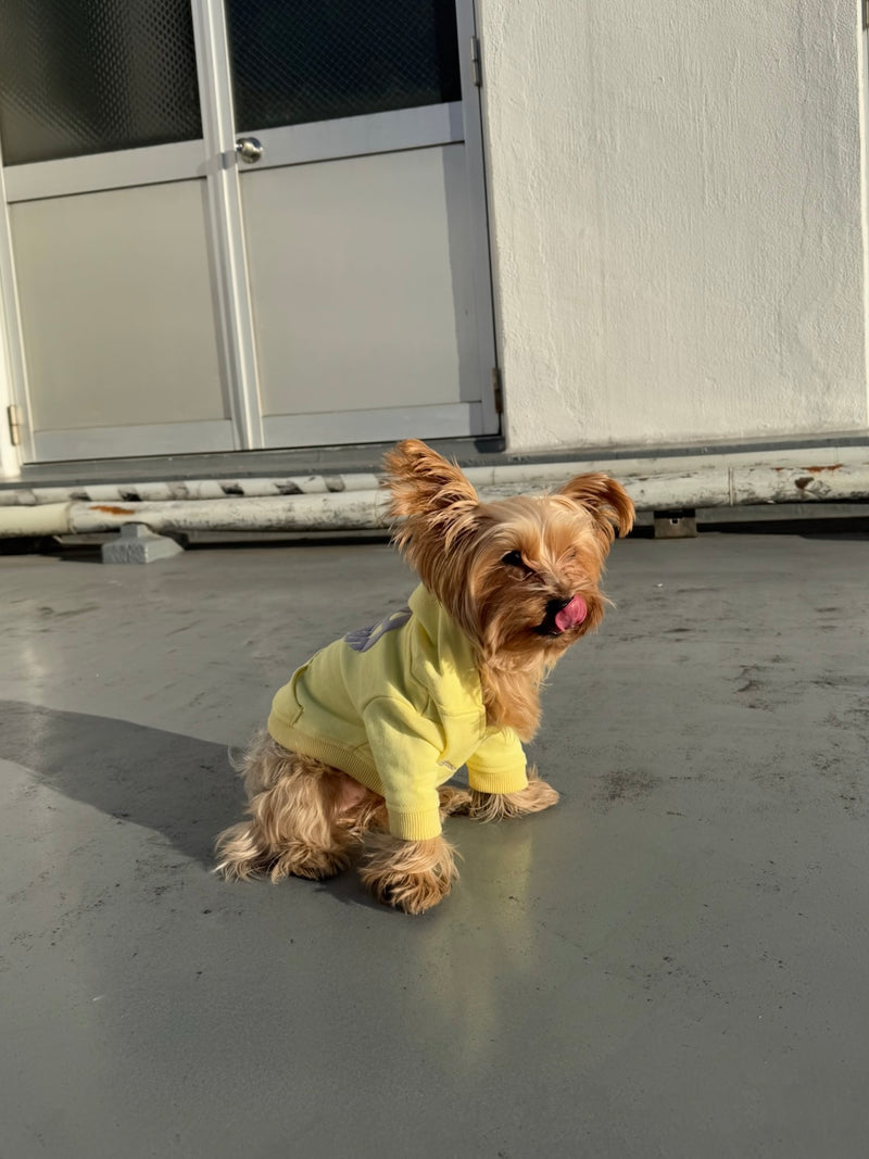 Heart Logo Hoodie (for Pets)