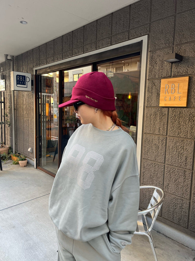 H logo knit cap