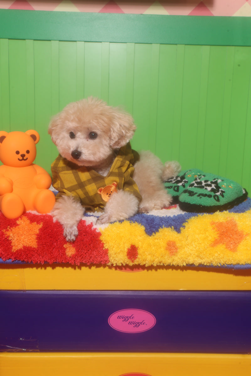 wiggle wiggle × HTH heart logo hoodie (for pets) 