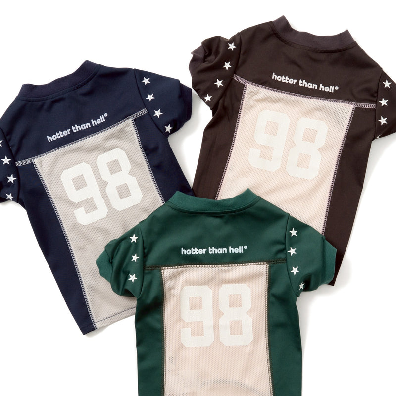 Numbering Game Shirt ( for pets )