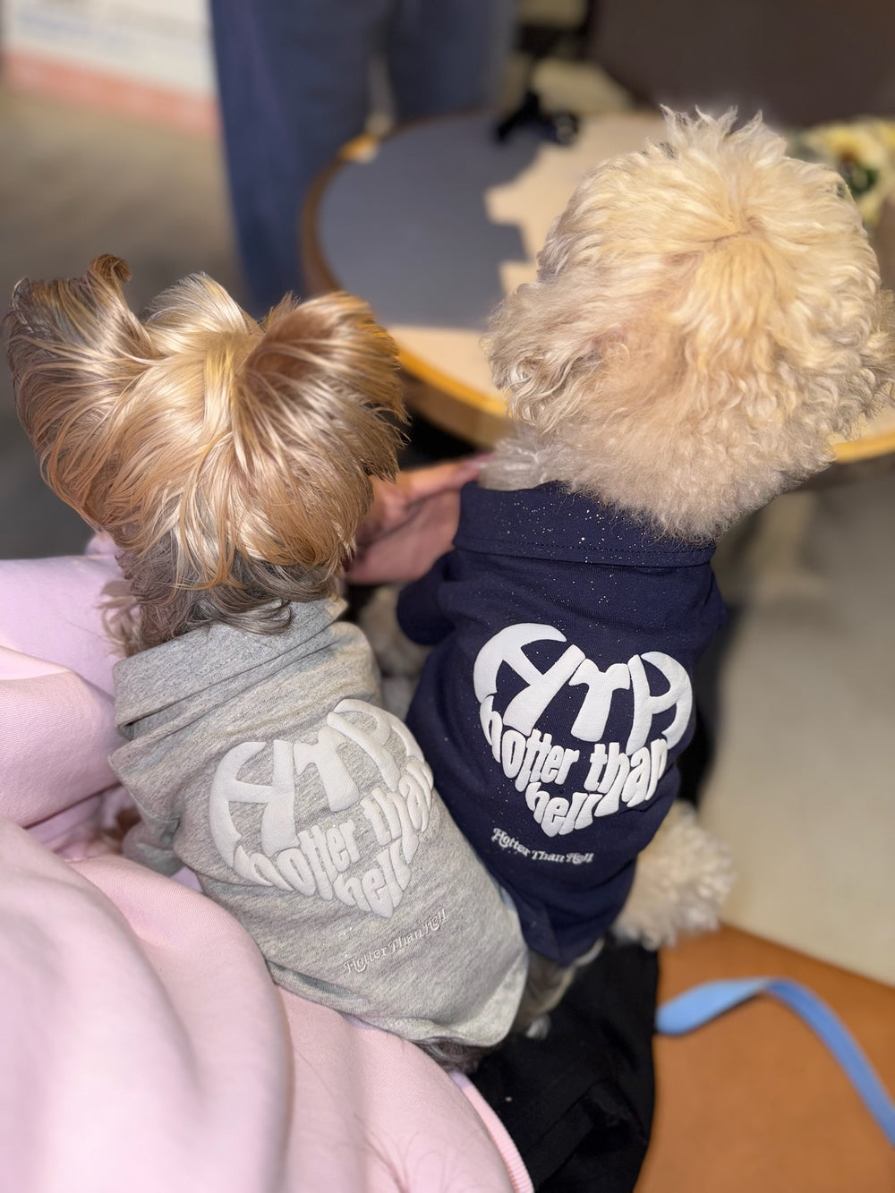 glitter heart logo hoodie (for pets) – YZ