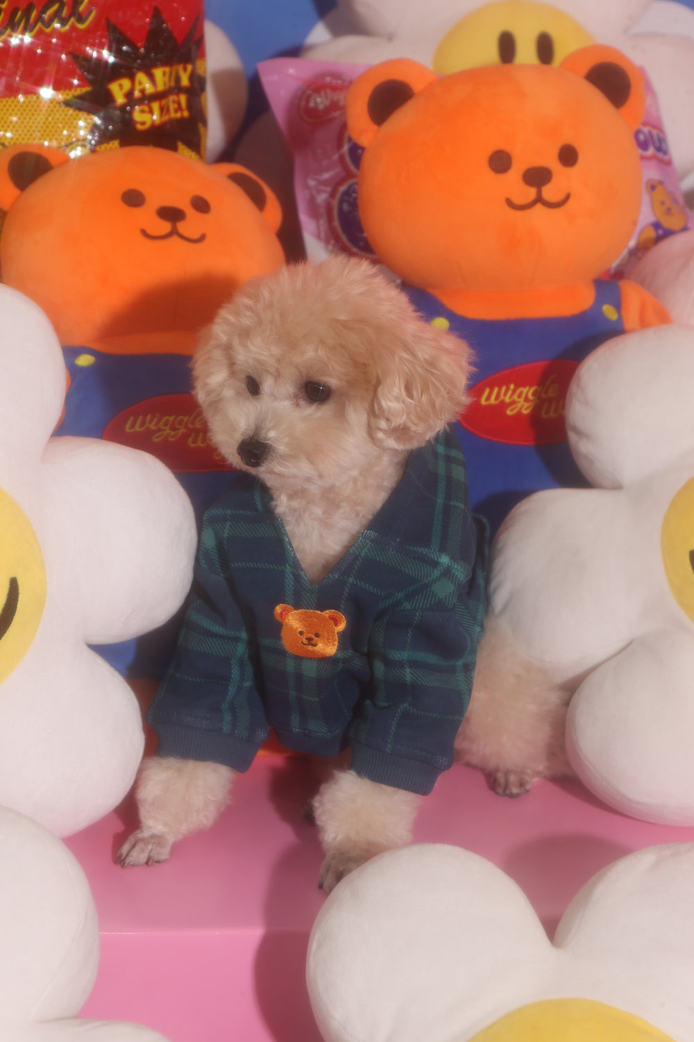 wiggle wiggle × HTH heart logo hoodie(for pets) – YZ