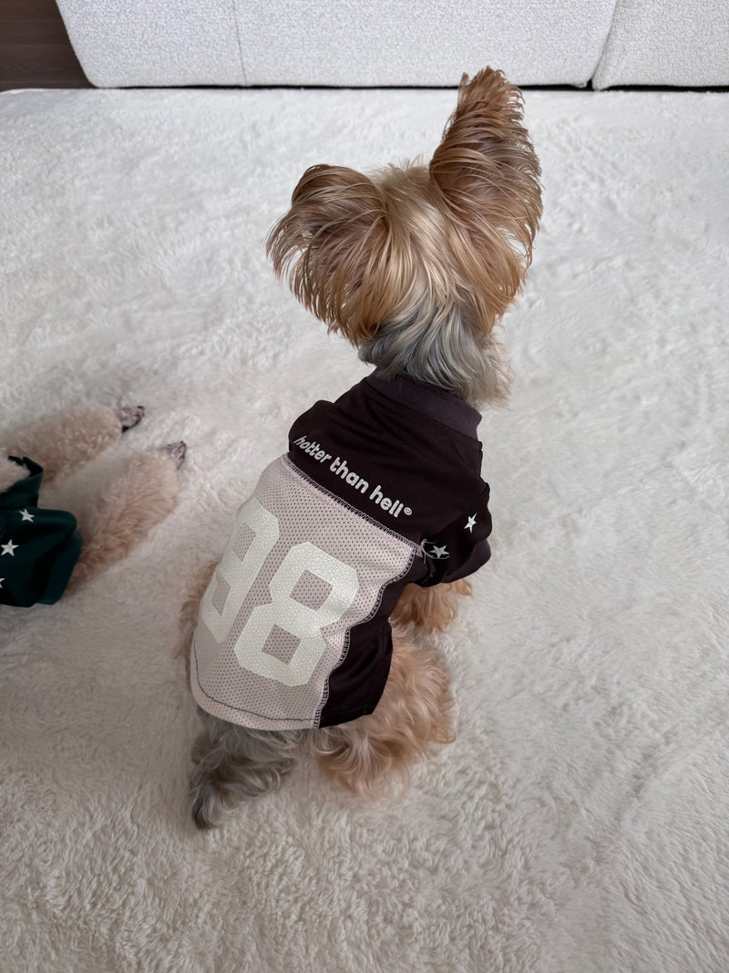 Numbering Game Shirt ( for pets )