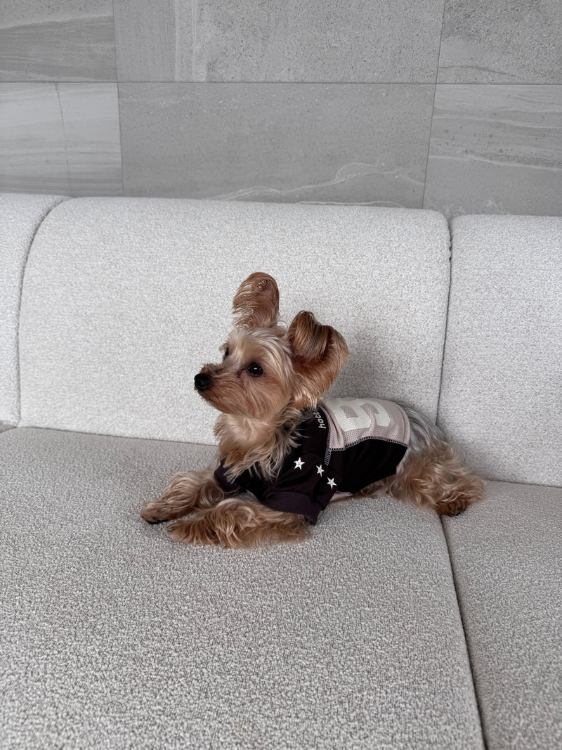 Numbering Game Shirt ( for pets )