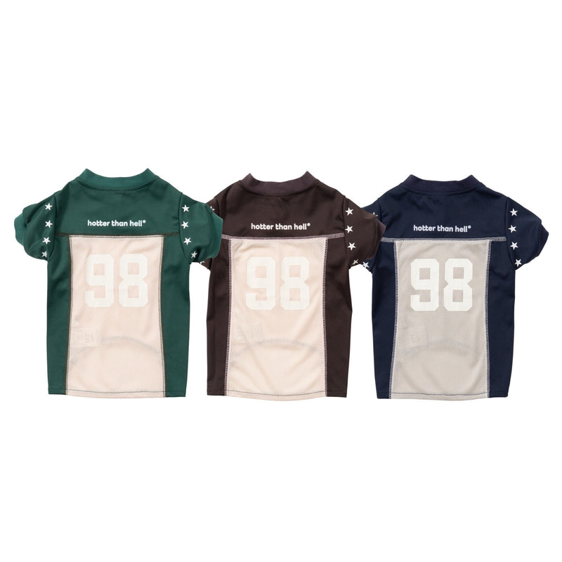 Numbering Game Shirt ( for pets )