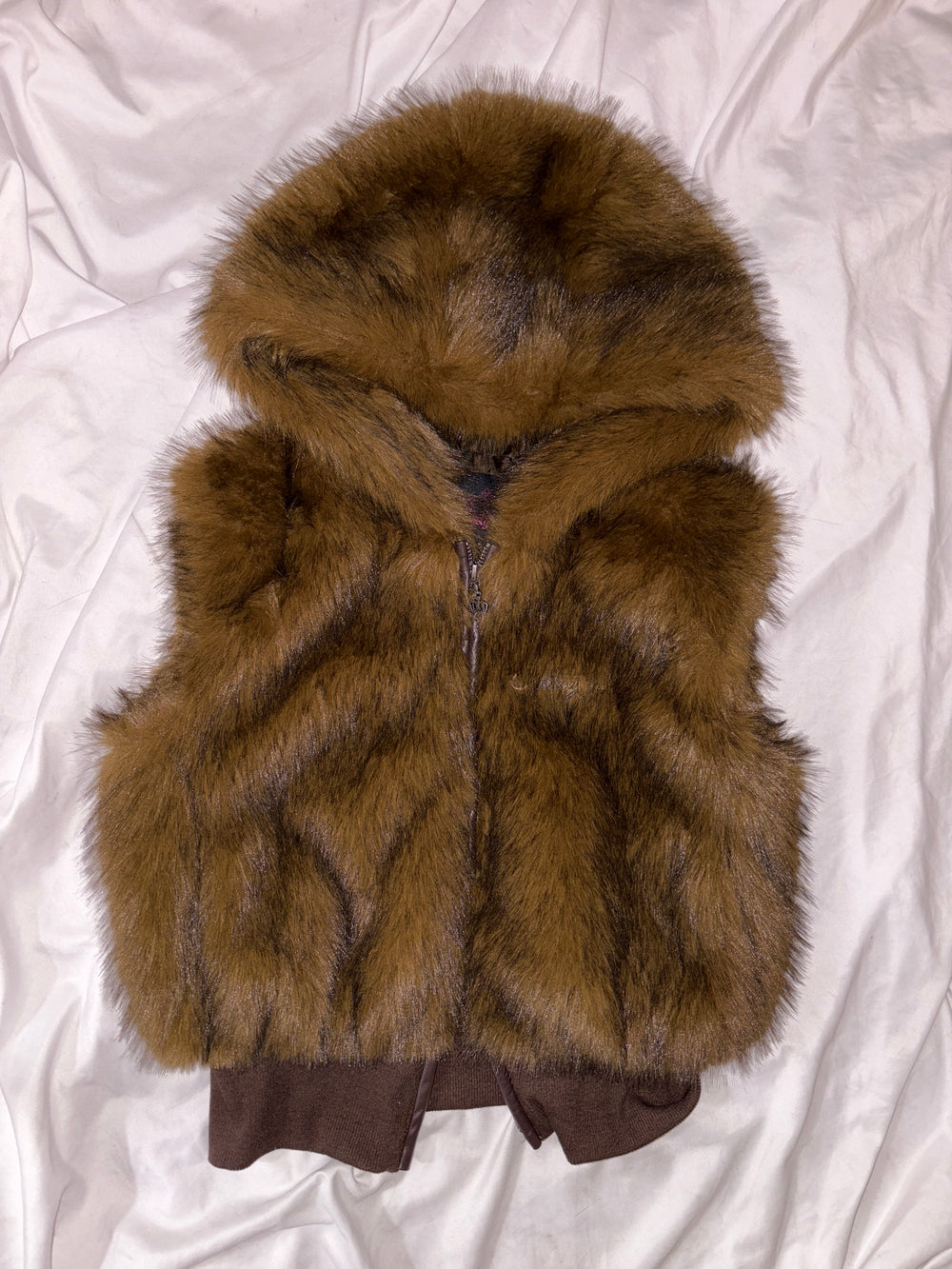 Faux Fur Hood Vest – YZ