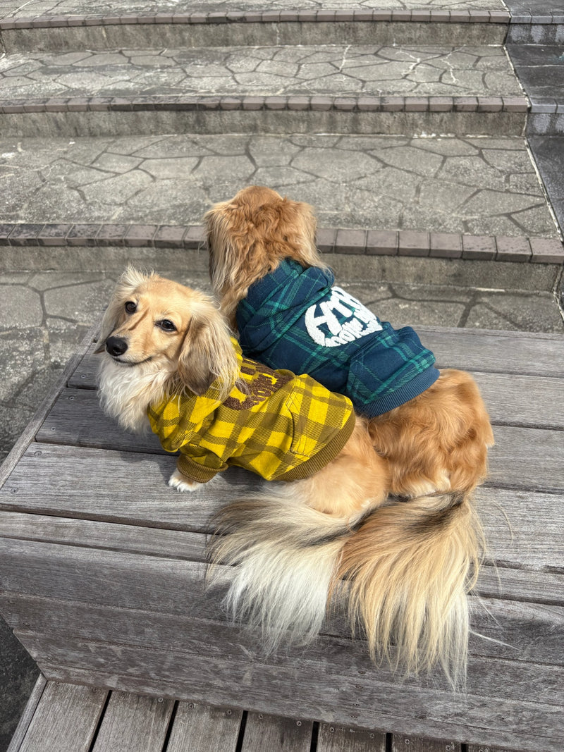 wiggle wiggle × HTH heart logo hoodie (for pets) 