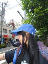 Ameba Logo Cap