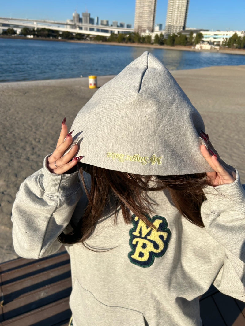 MSB Wappen hoodie