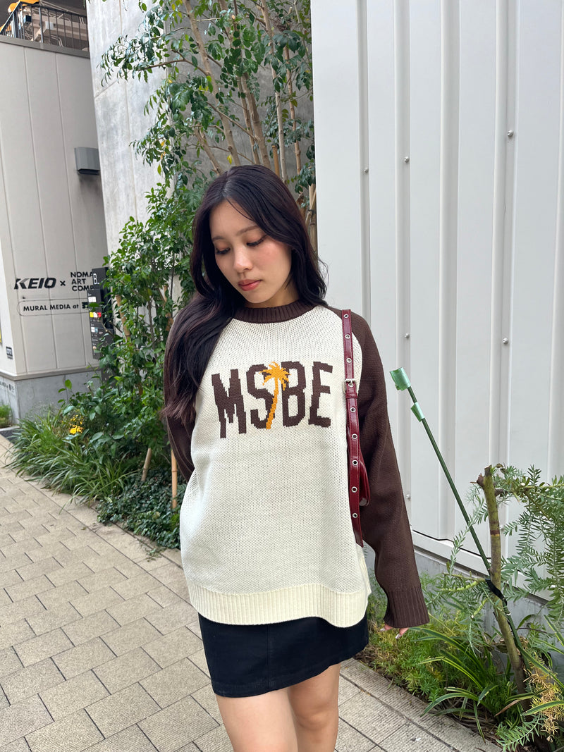 Msbe Logo Raglan Knit Pullover