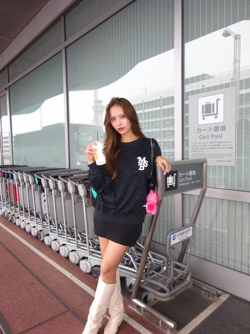 chain embroidery  glitter sweat