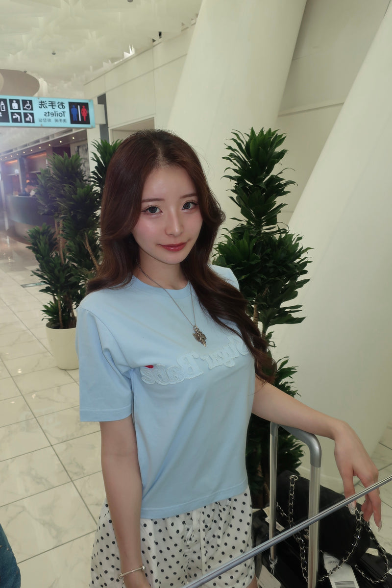 msb wash applique set up 