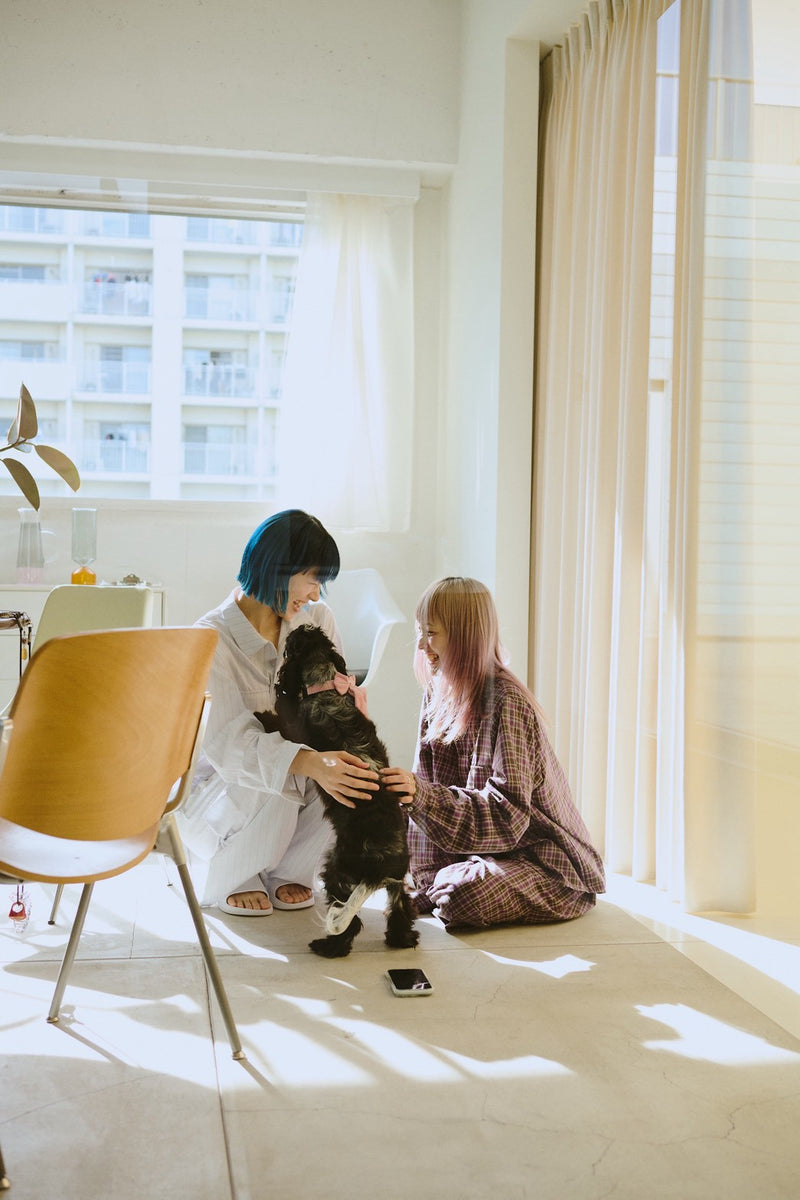 처음의 고동, Chilli Beans.✖common gull products. 파자마 파티셋 