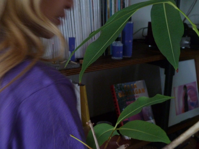 はじめての鼓動、Chilli Beans.✖common gull products.お香 – YZ