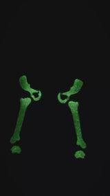 Bone Hand Denim Jorts