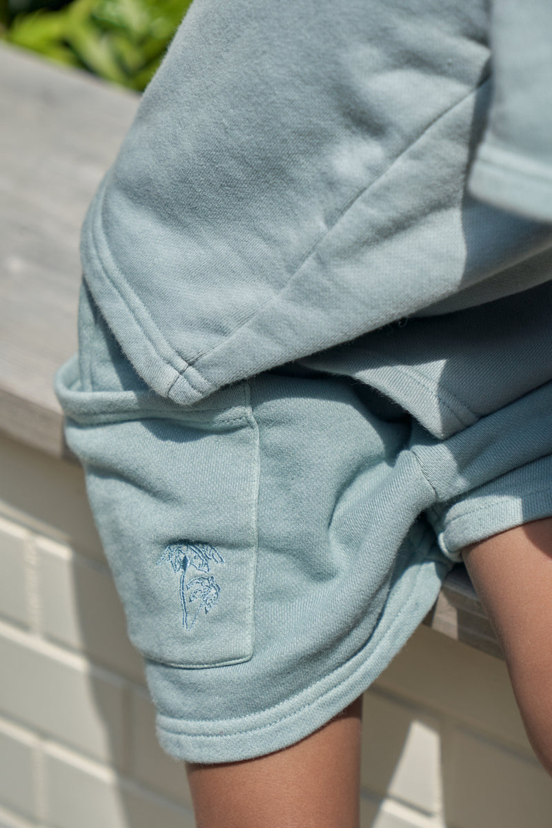 msb pigment pale color set up – YZ