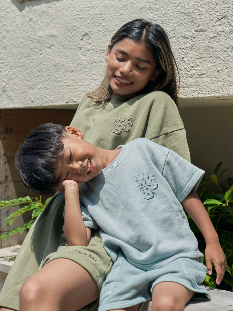 msb pigment pale color set up – YZ