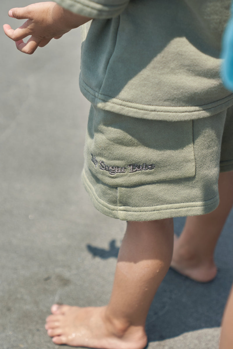 msb pigment pale color set up – YZ