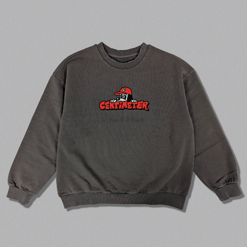 centimeter Graffiti logo sweat(ネイビー) | www.fleettracktz.com